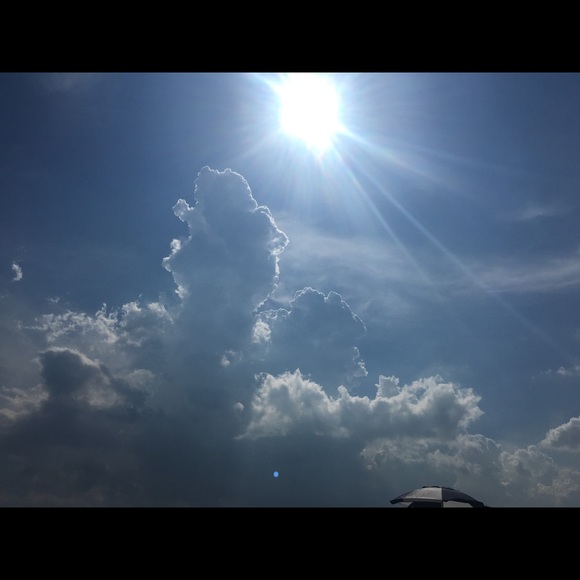 Meet your Posher, Lynne - Picture 1 of 1